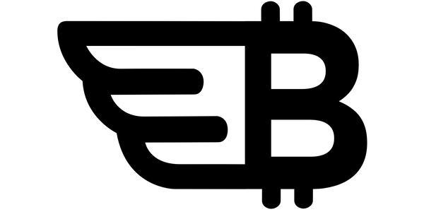 Flying B